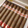 Romeo y Julieta Maravilla 8 Cigar – Box of 8