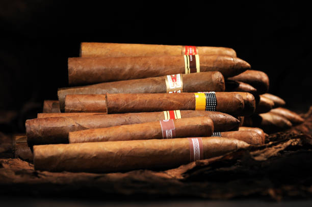 Best Cuban Cigar